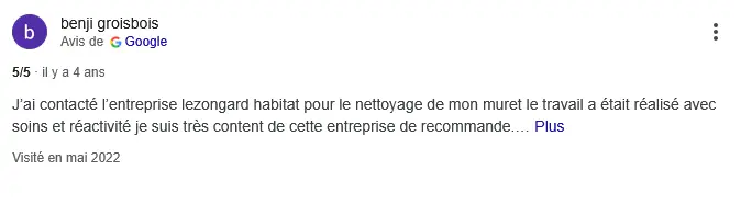 Avis Google de