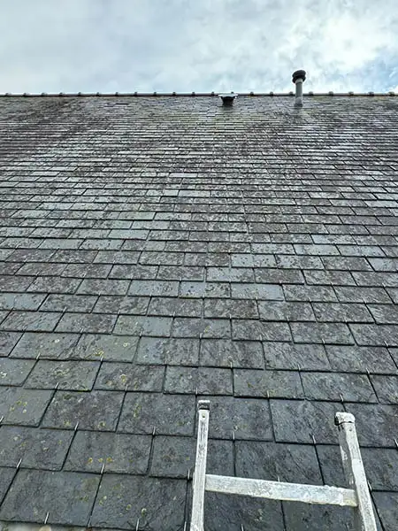 Avant nettoyage toiture