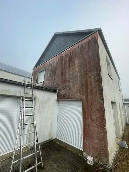Avant nettoyage et démoussage de façade