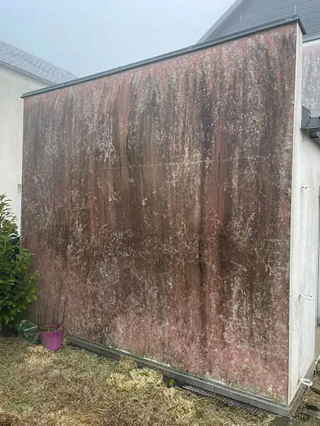 Avant nettoyage et démoussage de façade